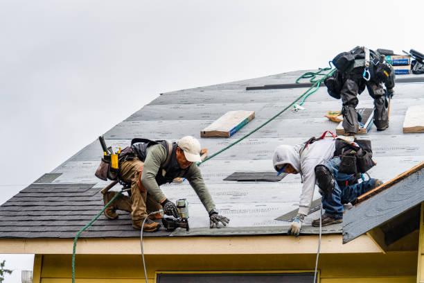 Professional Roofing technician working in New Bloomington, OH